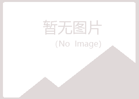 香港夏岚水泥有限公司